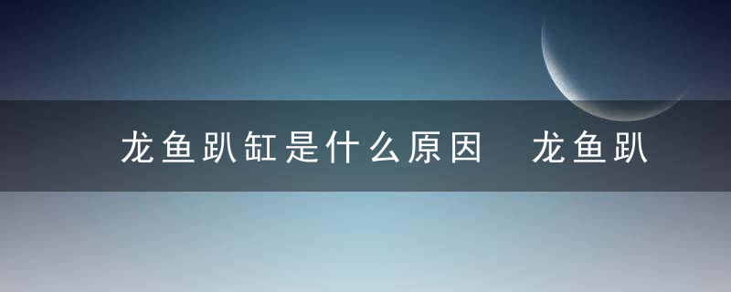 龙鱼趴缸是什么原因 龙鱼趴缸的原因分析